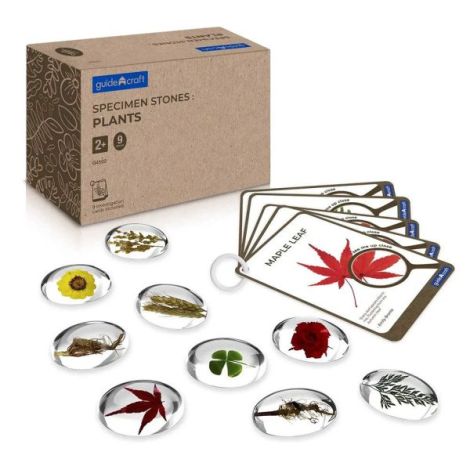 Specimen Stones, pietre din acril cu plante, Guidecraft - imagine 7